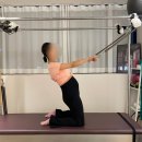 원필라테스 | 대봉동 필라테스 임산부운동추천 자세교정에 좋은 일대일 레슨 솔직후기 원필라테스