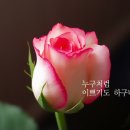 서영식 이미지