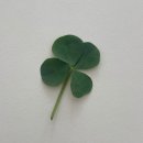 부산진오뎅 이미지