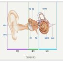 굿모닝보청기 태릉입구점 이미지