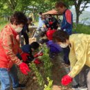 영산포풍물시장 이미지