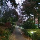 허당로-2 이미지