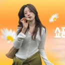 지그재그 헤럴드경제