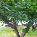 삼아어산 이미지