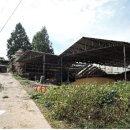 문경축사 이미지