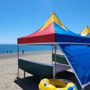 해송피크닉장 이미지