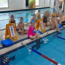 하비엘럭스 이미지