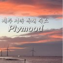 제주감성독채숙소 다빈(제주풀꽃) | 제주 독채 숙소 4명이서 묵은 플라이무드 솔직 후기
