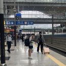 세븐일레븐 대구상인비둘기점 | 이번엔 대구 1박2일 찍먹 (막창x 뭉티기x 대구뽈찜o)