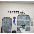 펫스티발 이미지