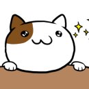 365서울연합의원 이미지