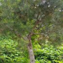 김봉수 농장 이미지