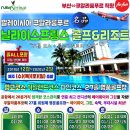 비제골프투어 이미지