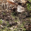 노루목농장 이미지