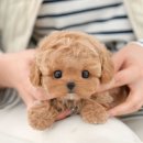 왜관동물병원 이미지