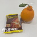 씨유서구대신협성점 | 2-3월 일상