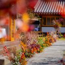 그늘막78 | 💒 웨딩 베뉴 비교 (2) 100인 ~ 800인 서울/근교 한옥웨딩 10곳, 25년 견적 공유