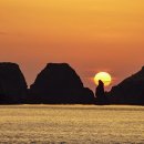 팰롱팰롱 이미지