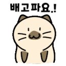 닥엔돈스부천원미
