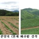법인늘푸른농장 이미지