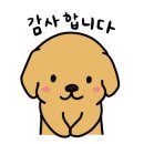 이뮤노팜 이미지