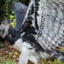 저현고등학교 이미지