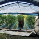 김상배농장 이미지