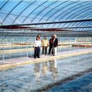 10월 9일 뉴우스 모음 이미지