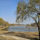 순천만국가정원 동문주차장 화장실 이미지