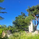 여강길(7코스 부처울습지길) | 여주여강길 7코스 : 상백2리정류장 ~ 당남리섬입구