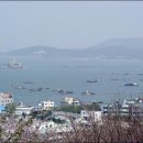 호수와바다 이미지