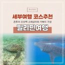 어린이날 특별운영 <오, 오 상상그이상> | 세부여행 코스 존투어 오모팩 고래상어와 호핑투어 내돈내산