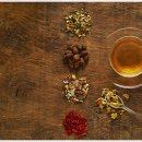 자연의 움직임 이미지