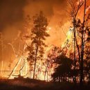 퀸즐랜드 남부 지방 지역으로 빠르게 이동 중인 산불, ‘대피 명령’ 발효 이미지