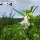 깨가쏟아지는마을 이미지