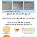 진선미스킨케어
