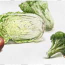 초등 미술 이미지