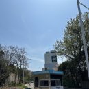 장생포로 | 울산 장생포문화창고 전시 퀸즈 컬렉션 도슨트 관람 및 주차 꿀팁 후기