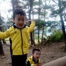 숲이있는 어린이집 이미지