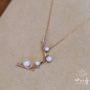 진주패션 이미지