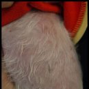 순창 동물병원 이미지