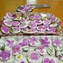 화전어린이집 이미지