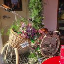 피크닉앤(Picnic&) 이미지