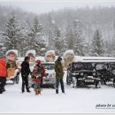 진부목장 이미지