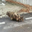 봉식농장 이미지