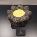 누데이크 하우스도산 카페 나도 가봤다!