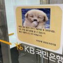 응암지점 국민은행 이미지