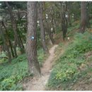 제443회 수원화성 소나숲-갈대숲 풍경길 11월 4일(월)10시 30분 걷기공지 이미지