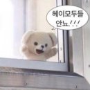 뉴무궁화마트(무궁화마트) | 울산 송정 필라테스 체형교정부터 뷰핏관리까지 더뉴필라테스 송정점, 체험 후 내돈내산 등록까지 !