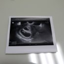 산본제일의원 이미지